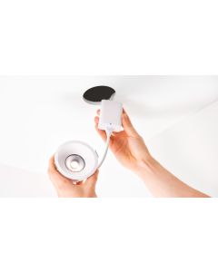 Downlight Deep White